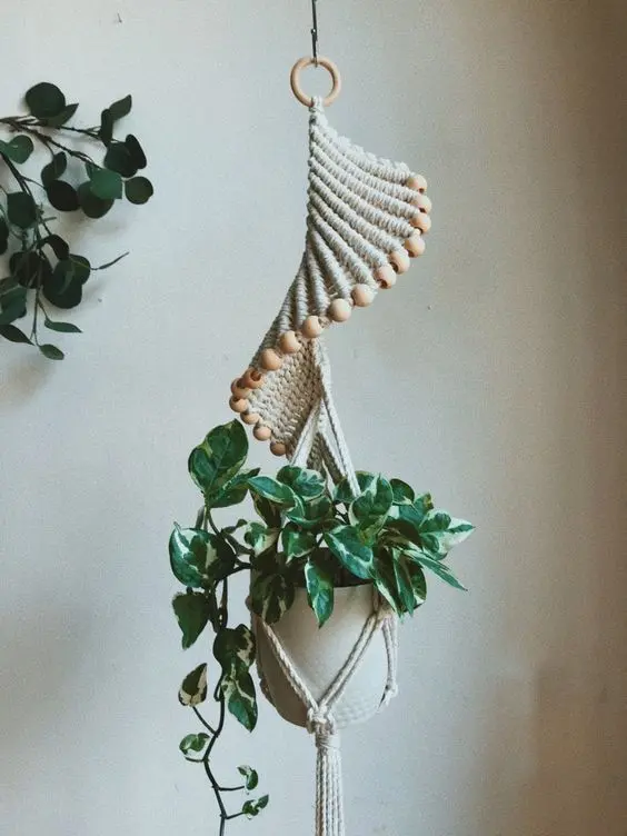 Spiral Plant Hangers