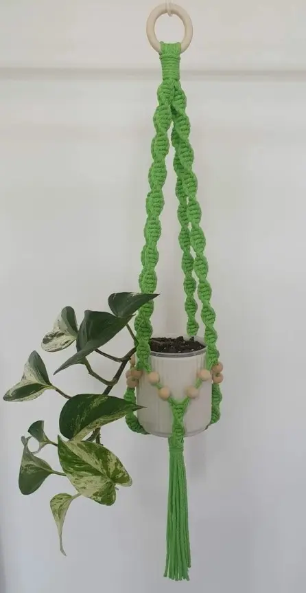 DNA spiral Plant Hanger